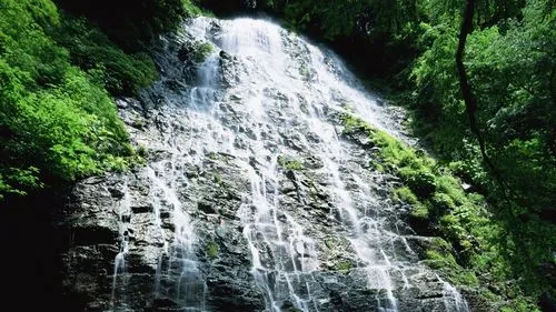 数字化工业节能